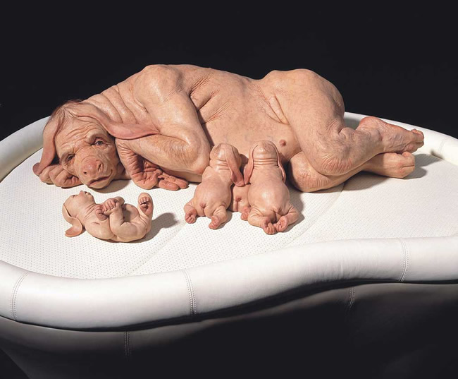 Patricia Piccinini hyper realists sculptures